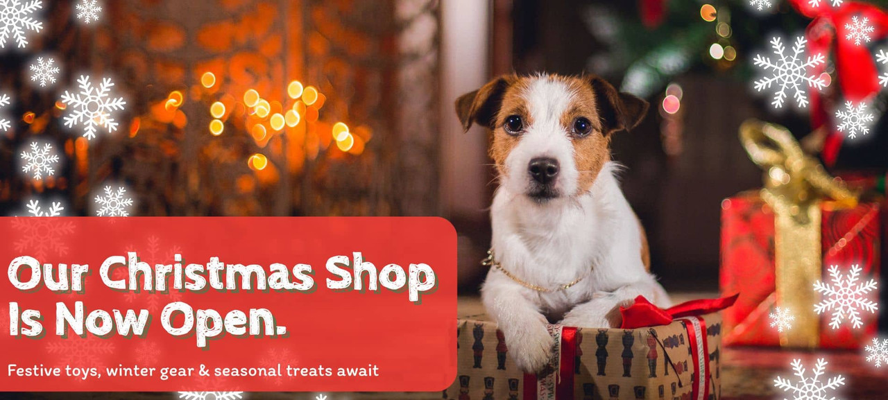 Christmas Shop Now Open
