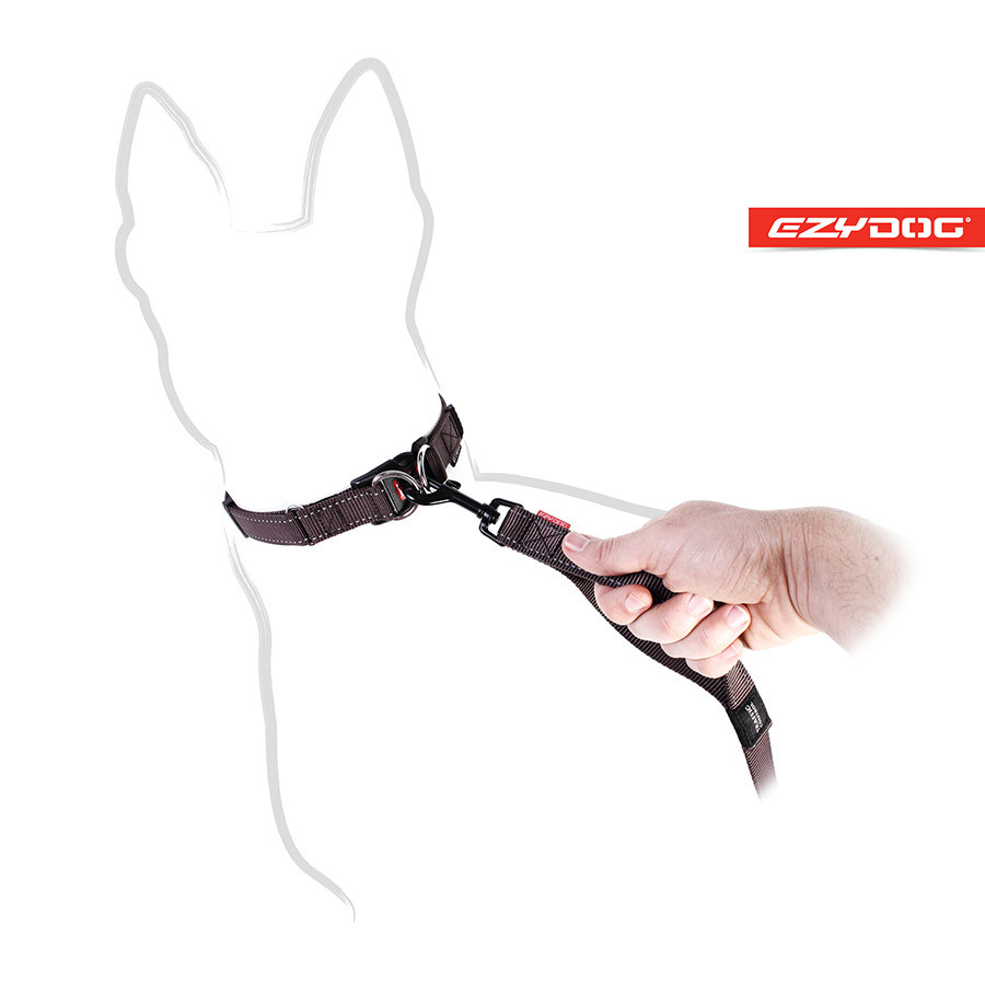 ezydog soft trainer