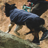 Dog wearing Ruffwear Climate Changer™ Fleece Jacket on an outdoor adventure.
