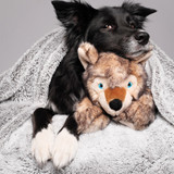 Fluff & Tuff Lobo Wolf Pup soft toy, showing a dog cuddling with it.