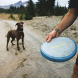 Ruffwear Camp Flyer in Colour Polar Blue, showing dog playing with toy
