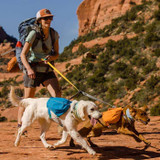 Dogs on a hike wearing the Ruffwear Approach Pack