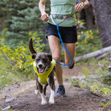 Ruffwear New Trail Runner Leash - running with dog