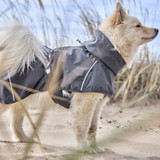 Dog Wearing Hurtta Mudventure Coat in Rain