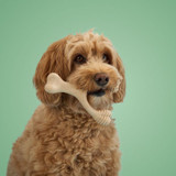 BetterBone Mini Medium Strength dog chew – natural safe chew for small to medium dogs in Classic and Beef flavour