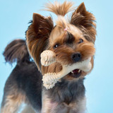 BetterBone Small Soft Strength dog chew – gentle natural chew for puppies, seniors and light chewers in Classic and Beef flavour