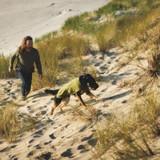 Ruffwear Climate Changer vest in colour Cedar Green, showing on dog