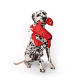 Fabdog FLoppy Lobster shown with dog