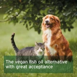 AniForte Algae Oil 50ml dropper bottle, vegan fish-free omega-3 supplement for dogs