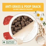 AniForte Anti Grass and Poop Snack 50g tub shown open and treats visible. Natural gut support treat for dogs
