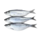 Dougie's Whole Herring, 1kg bag of frozen whole raw herring for dogs