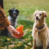 Ruffwear Gnawt-a-Cone
