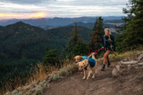 ​How to Hike With Your Dog