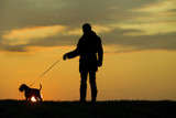 Lighting Up Your Evening Walks