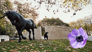 Dogs in Warfare - Through the Ages in Remembrance