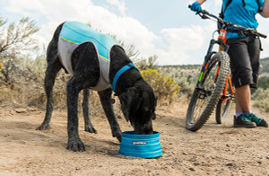 Hot Hound? Dog Cooling Gear