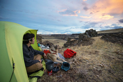 How To Camp With Your Dog