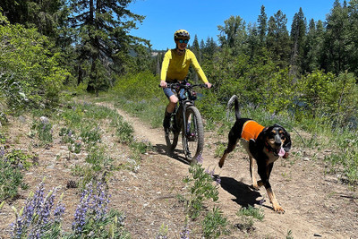 ​5 TIPS FOR MOUNTAIN BIKING WITH YOUR DOG