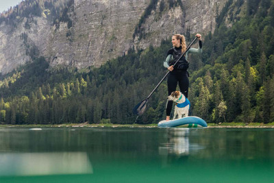 SUP PUP 101: How to Paddleboard with your dog