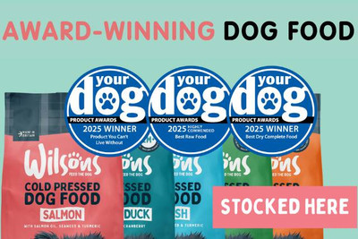 A Guide to Wilsons Dog Food – Why We Love It and Why Your Dog Will Too!