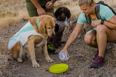 how do dog cooling vests work