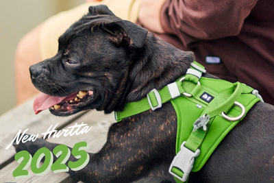 Explore Hurtta's Eco-Friendly Spring 2025 Dog Gear Collection