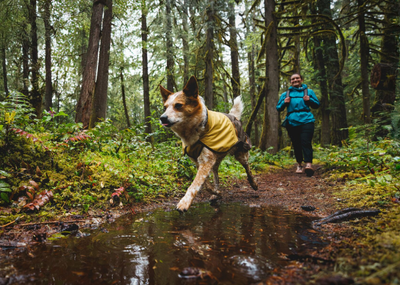 What's The Difference, Waterproof & Water-Resistant?