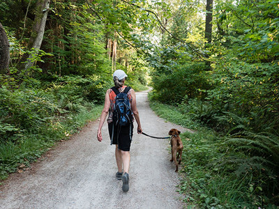 Get In Shape For Spring Walks: Dog Walking Tips for a Safer, Happier Spring