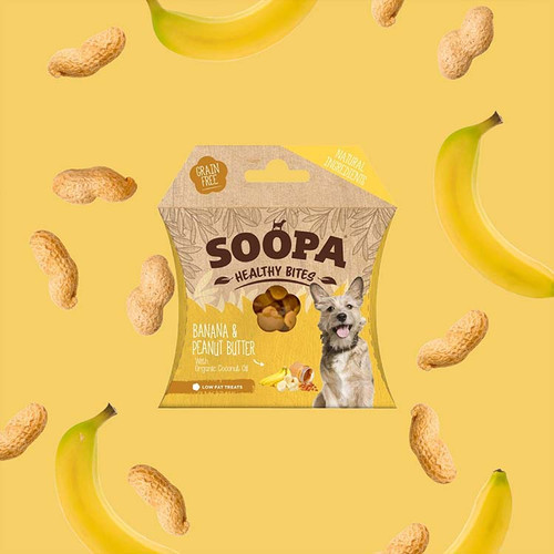 Healthy Bites Banana and Peanut Butter Front Packaging