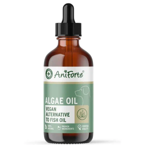 AniForte Algae Oil 50ml dropper bottle, vegan fish-free omega-3 supplement for dogs