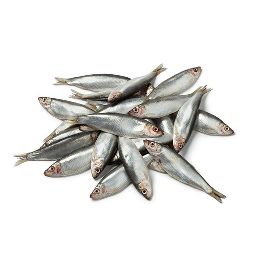 Nutriment Whole Fresh Sprats, showing a handful