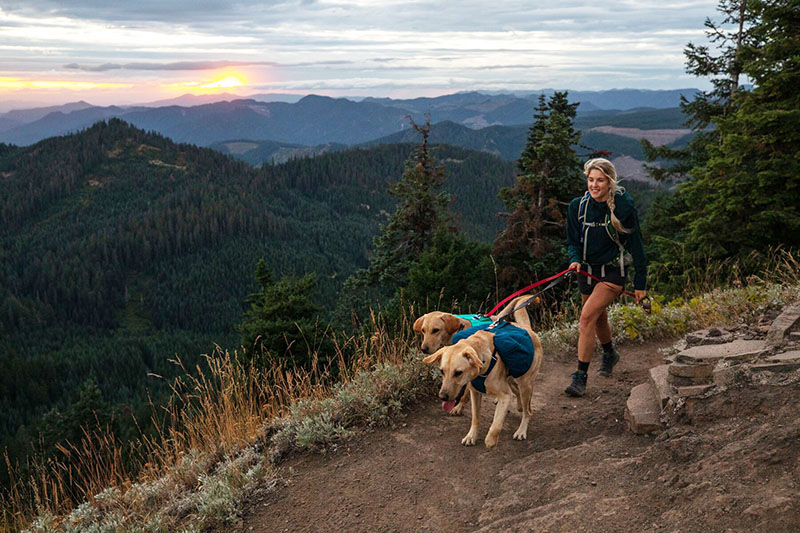 How to Hike With Your Dog