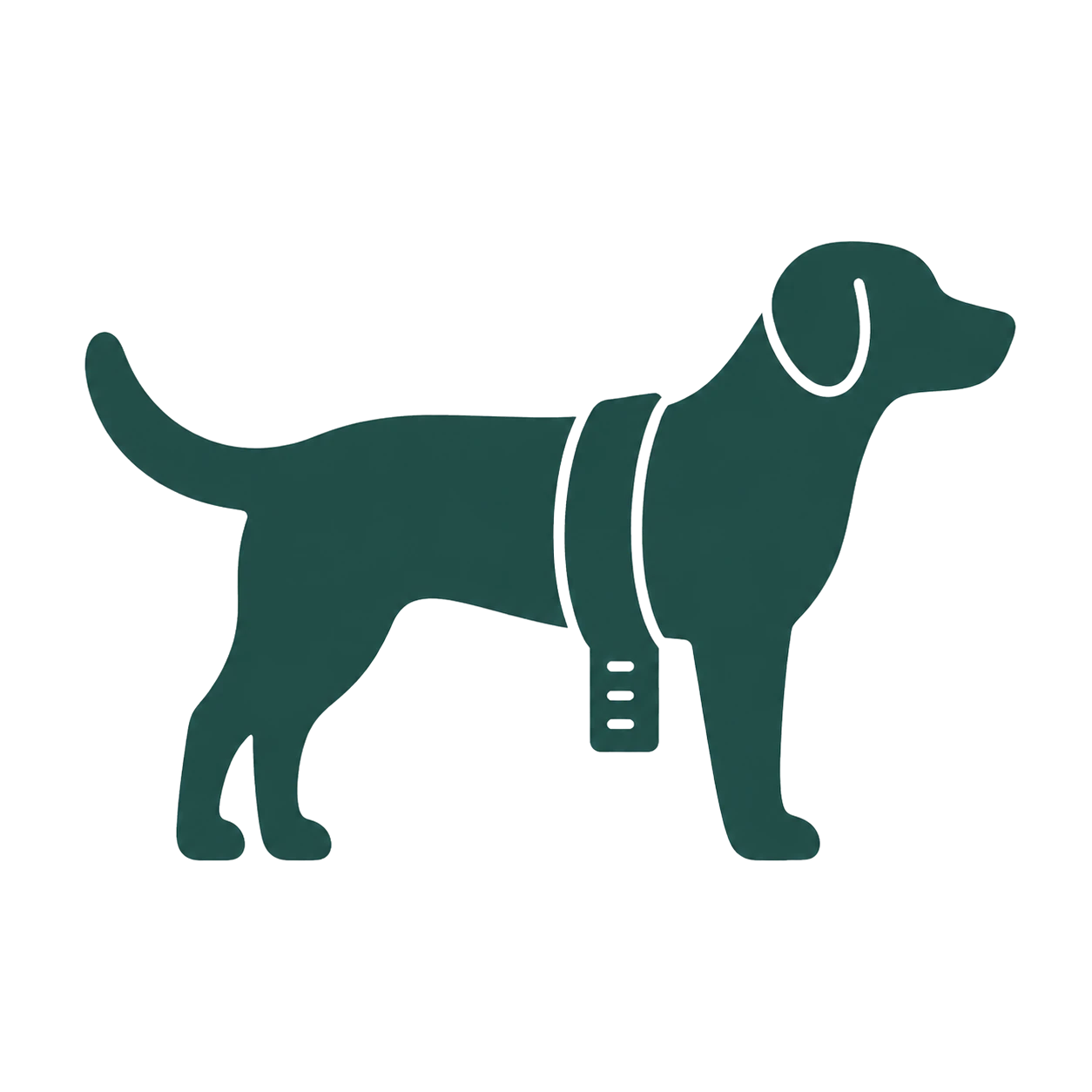 Dog with a tape measure icon