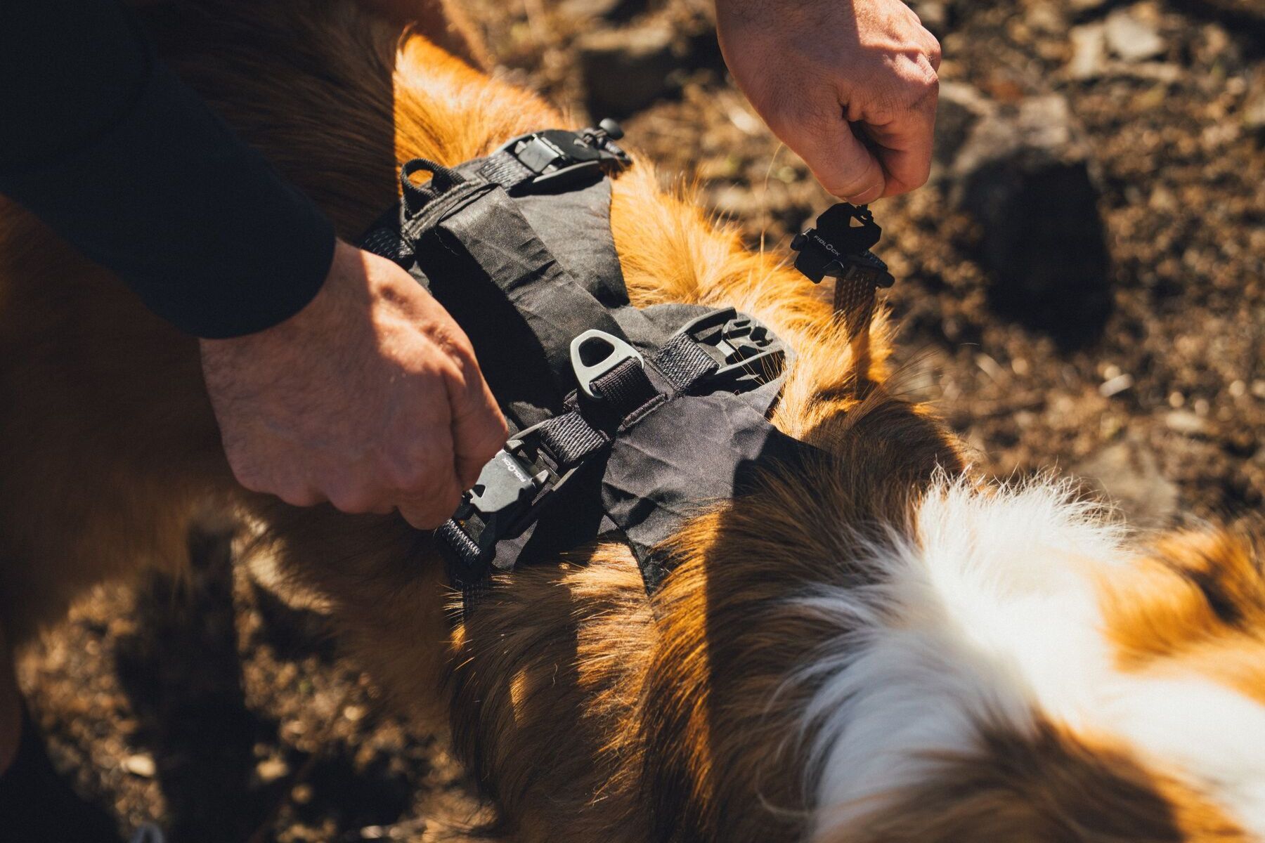 Alternative banner alt