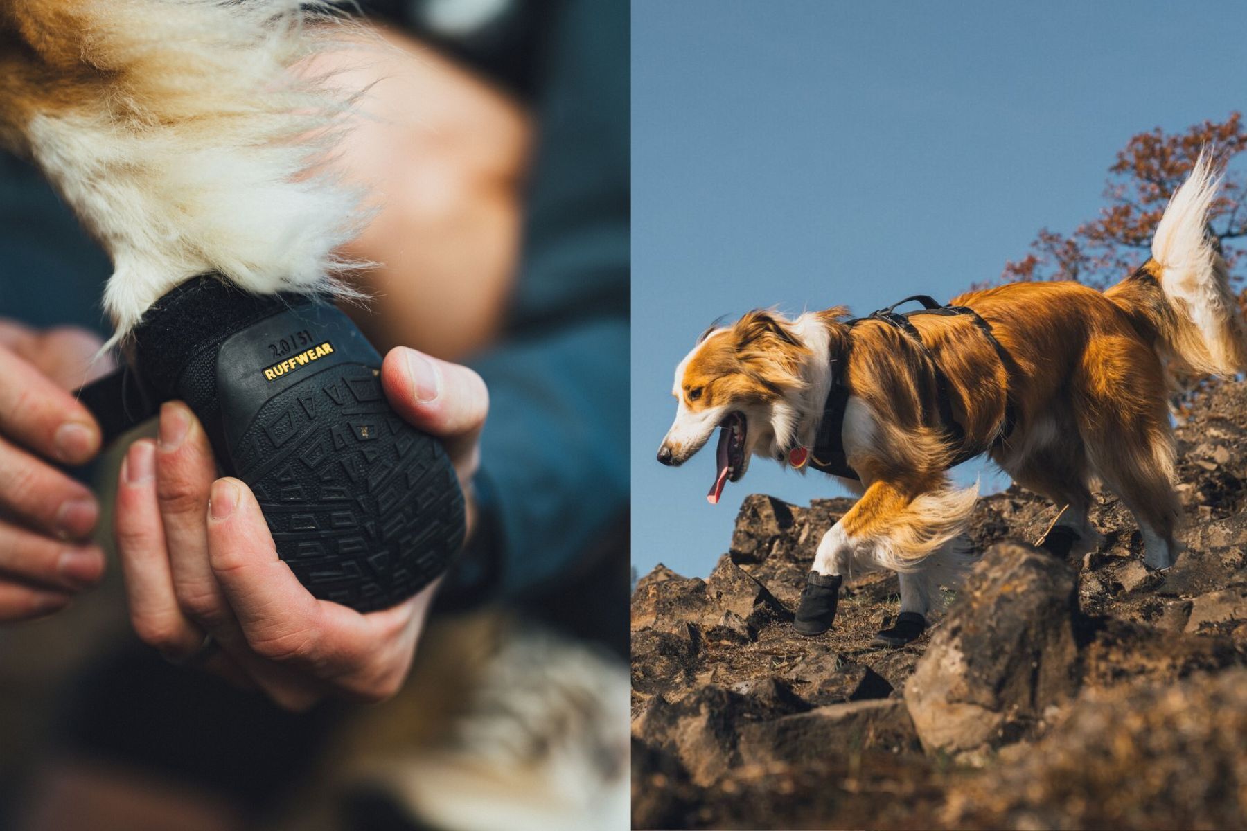 Alternative banner alt