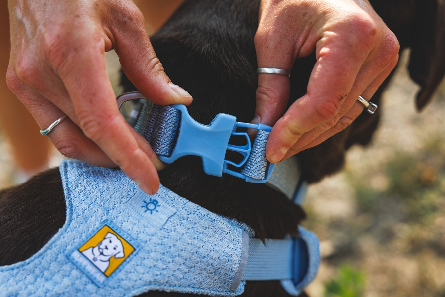 Ruffwear Front Range Flex Collar Durable Buckle