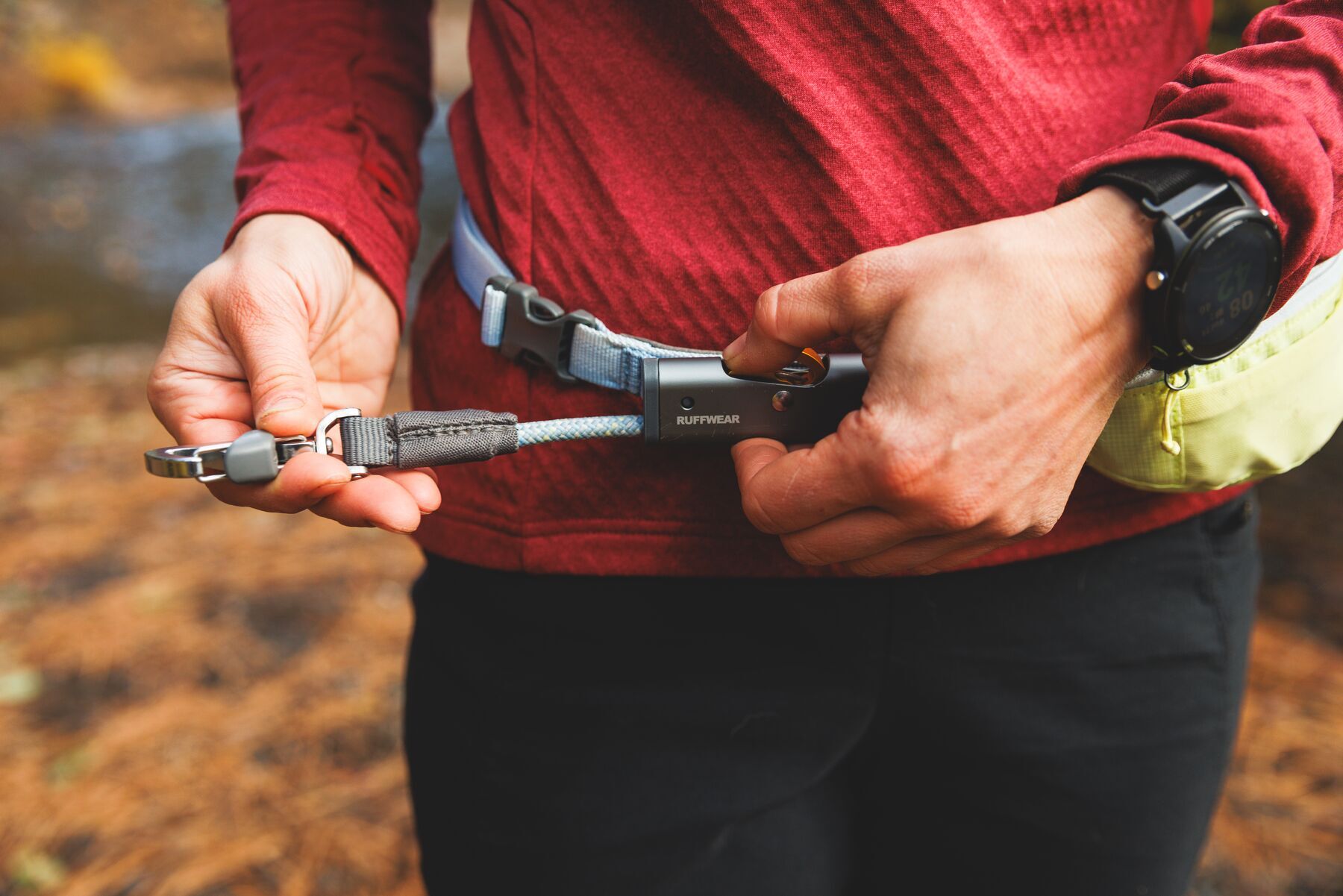 Alternative banner alt