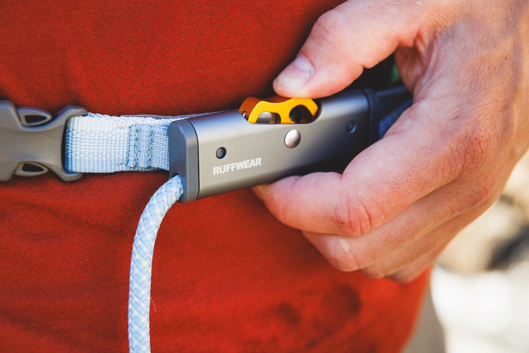 Alternative banner alt