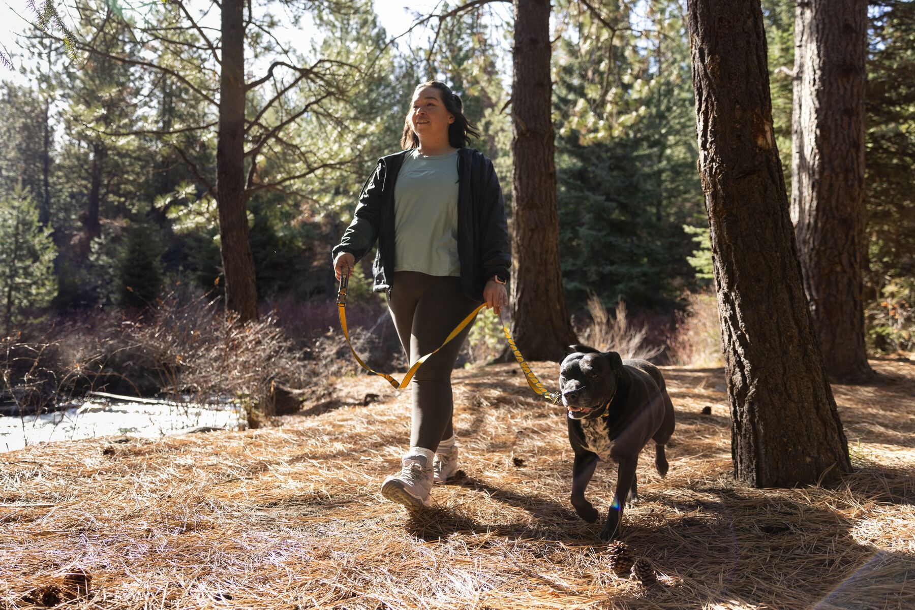 Alternative banner alt