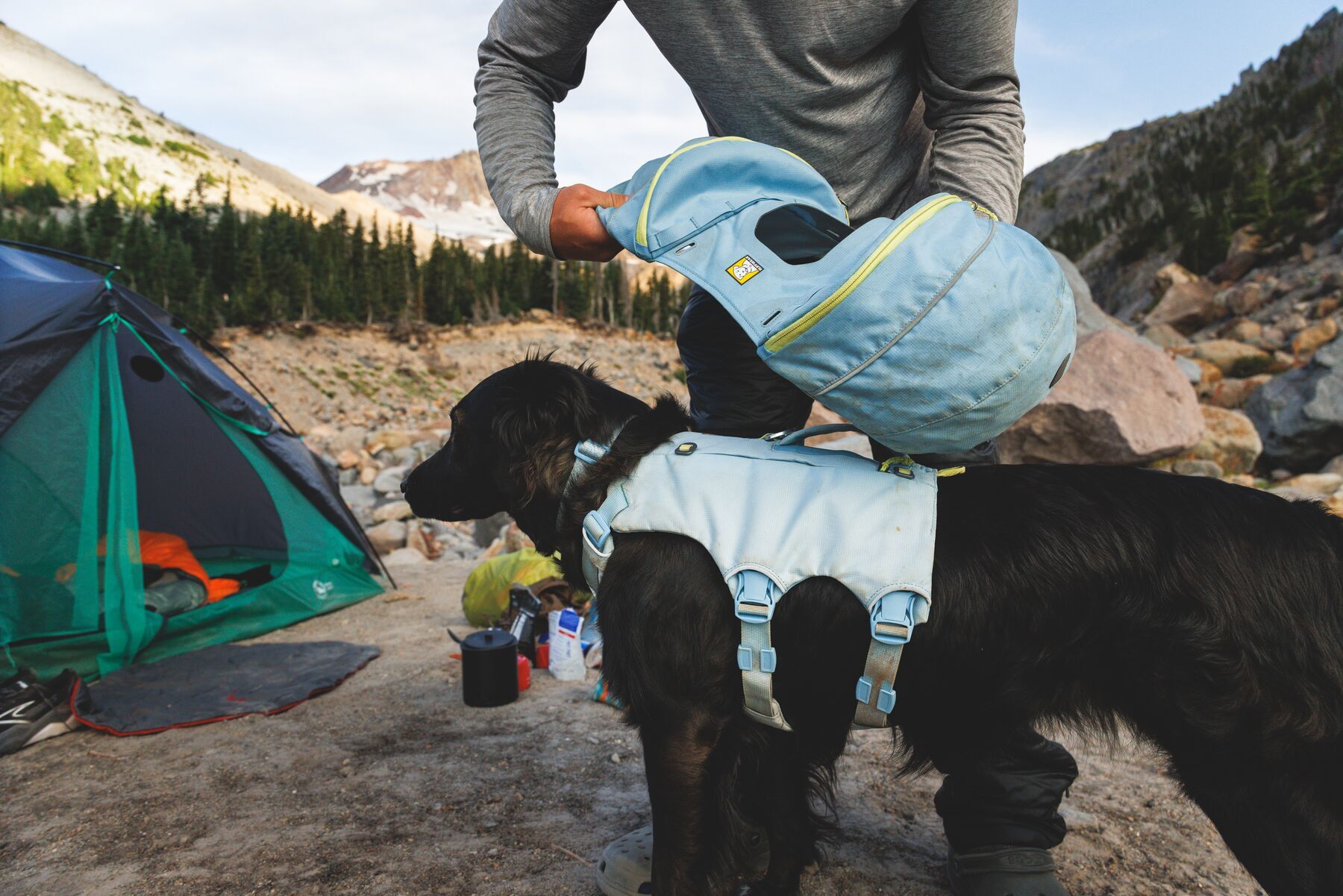 Alternative banner alt