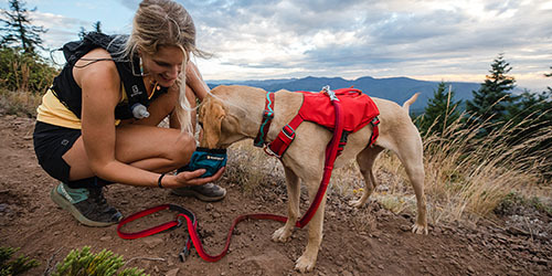 Ruffwear Collars & Leashes