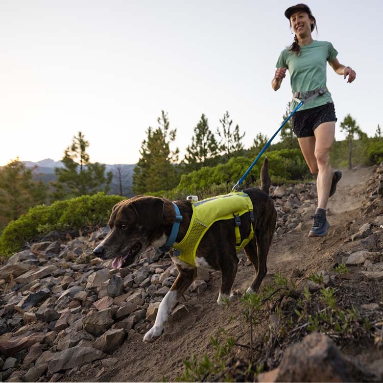 Ruffwear Trail Runner Running Vest: Hydration for Dogs