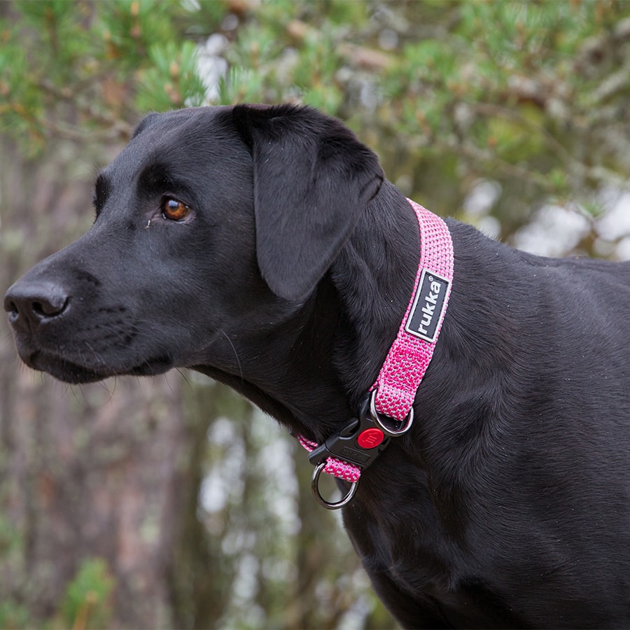 Rukka Star popular Collar Reflective