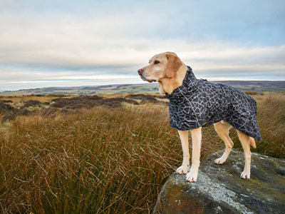 Brand Ambassador Oscar wearing the RTukka Hayton Raincoat