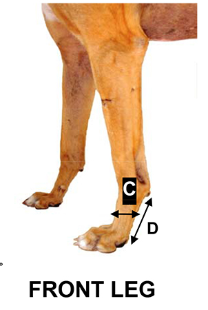 thera paw boots for greyhounds