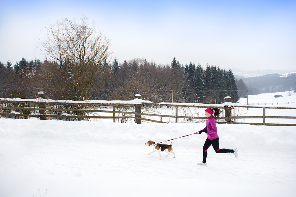 Winter Activities With Your Dog K9 Active