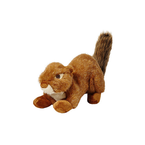 remote control squirrel dog toy