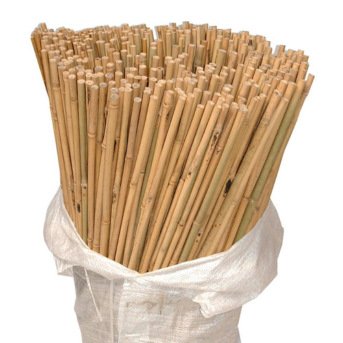 Bamboo Canes