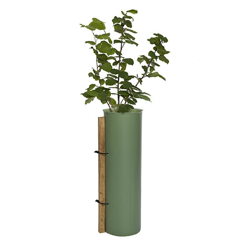 Tubex Shrub Shelters