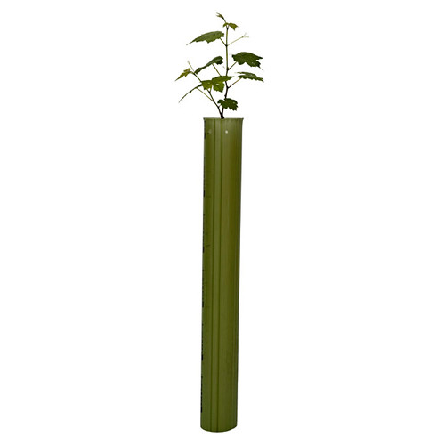 Tubex Vine Original